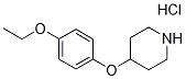 4-(4-Ethoxyphenoxy)piperidine hydrochloride 구조식 이미지