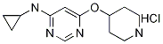 N-시클로프로필-6-(피페리딘-4-일옥시)피리미딘-4-아민염산염 구조식 이미지