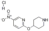 5-Nitro-2-(4-piperidinyloxy)pyridine hydrochloride 구조식 이미지
