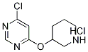 4-클로로-6-(피페리딘-3-일옥시)-피리미딘염산염 구조식 이미지