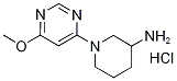 1-(6-메톡시-피리미딘-4-일)-피페리딘-3-일라민염산염 구조식 이미지