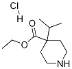 Ethyl 4-Isopropyl-4-piperidinecarboxylate Hydrochloride Structure