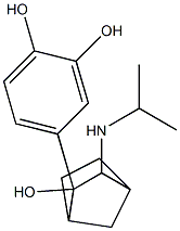 N-isopropyl-3-amino-2-(3,4-dihydroxyphenyl)-2-hydroxybicyclo(2.2.1)heptane Structure