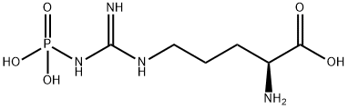 N-Phospho-L-arginine 구조식 이미지