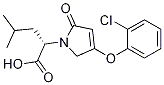 (S)-2-(4-(2-chlorophenoxy)-2-oxo-2,5-dihydro-1H-pyrrol-1-yl)-4-methylpentanoic acid 구조식 이미지