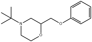 4-TERT-BUTYL-2-(PHENOXYMETHYL)-MORPHOLINE 구조식 이미지