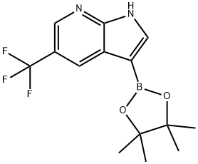 3-(4,4,5,5-Tetramethyl-1,3,2-dioxaborolan-2-yl)-5-(trifluoromethyl)-1H-pyrrolo[2,3-b]pyridine 구조식 이미지