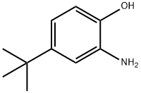 2-아미노-4-테르트-부틸페놀 구조식 이미지
