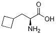 (S)-2-aMino-3-cyclobutylpropanoic acid Structure