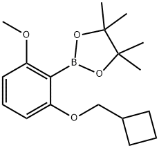 2-사이클로부틸메톡시-6-메톡시페닐보론산피나콜에스테르 구조식 이미지