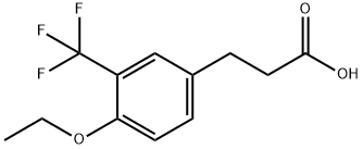 3-[4-Ethoxy-3-(trifluoromethyl)phenyl]propionicacid Structure