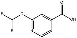 2-(difluoroMethoxy)isonicotinic acid Structure