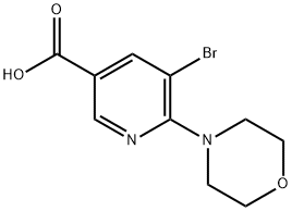 5-broMo-6-Morpholinonicotinicacid Structure