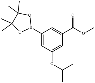 Methyl 3-isopropoxy-5-(4,4,5,5-tetramethyl-1,3,2-dioxaborolan-2-yl)benzoate 구조식 이미지
