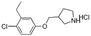 3-[(4-Chloro-3-ethylphenoxy)methyl]pyrrolidinehydrochloride Structure