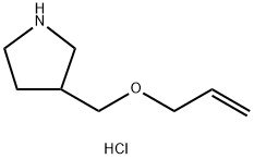 3-[(Allyloxy)methyl]pyrrolidine hydrochloride Structure