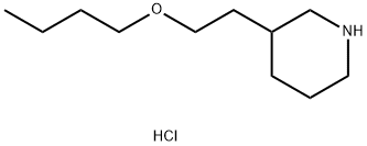 3-(2-Butoxyethyl)piperidine hydrochloride Structure