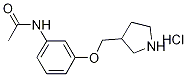 N-[3-(3-Pyrrolidinylmethoxy)phenyl]acetamidehydrochloride Structure