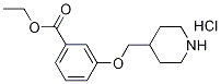 Ethyl 3-(4-piperidinylmethoxy)benzoatehydrochloride Structure