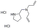 N-Allyl-N-(2-pyrrolidinylmethyl)-2-propen-1-aminedihydrochloride 구조식 이미지