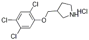 3-[(2,4,5-Trichlorophenoxy)methyl]pyrrolidinehydrochloride 구조식 이미지