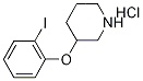 2-Iodophenyl 3-piperidinyl ether hydrochloride 구조식 이미지
