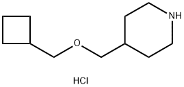 Cyclobutylmethyl 4-piperidinylmethyl etherhydrochloride 구조식 이미지