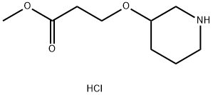 Methyl 3-(3-piperidinyloxy)propanoatehydrochloride Structure