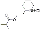 2-(2-Piperidinyl)ethyl 2-methylpropanoatehydrochloride Structure