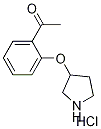 1-[2-(3-Pyrrolidinyloxy)phenyl]-1-ethanonehydrochloride Structure