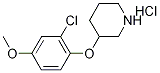 2-Chloro-4-methoxyphenyl 3-piperidinyl etherhydrochloride Structure