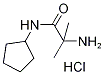 2-Amino-N-cyclopentyl-2-methylpropanamidehydrochloride 구조식 이미지