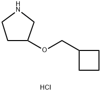3-(Cyclobutylmethoxy)pyrrolidine hydrochloride 구조식 이미지
