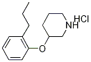 3-(2-Propylphenoxy)piperidine hydrochloride 구조식 이미지