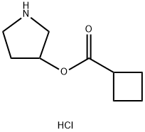 3-Pyrrolidinyl cyclobutanecarboxylatehydrochloride Structure