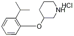 3-(2-이소프로필페녹시)피페리딘염산염 구조식 이미지