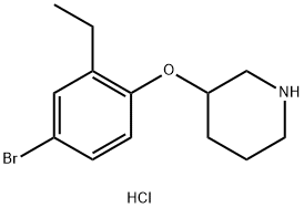 3-(4-Bromo-2-ethylphenoxy)piperidine hydrochloride 구조식 이미지