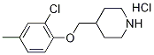 2-Chloro-4-methylphenyl 4-piperidinylmethyl etherhydrochloride 구조식 이미지