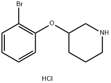 2-Bromophenyl 3-piperidinyl ether hydrochloride Structure