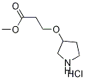 Methyl 3-(3-pyrrolidinyloxy)propanoatehydrochloride 구조식 이미지