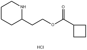 2-(2-Piperidinyl)ethyl cyclobutanecarboxylatehydrochloride 구조식 이미지