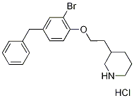 3-[2-(4-Benzyl-2-bromophenoxy)ethyl]piperidinehydrochloride 구조식 이미지