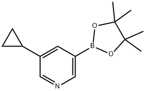 3-cyclopropyl-5-(4,4,5,5-tetramethyl-1,3,2-dioxaborolan-2-yl)pyridine 구조식 이미지