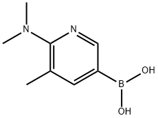 6-(디메틸아미노)-5-메틸피리딘-3-일보론산 구조식 이미지