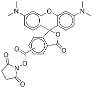 122363-35-3 tetramethylrhodamine succinimidyl ester