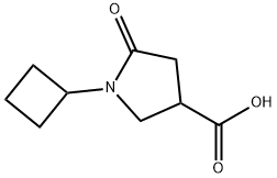 1-사이클로뷰틸-5-옥소피롤리딘-3-카복실산 구조식 이미지