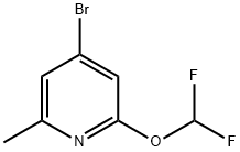 4-broMo-2-(difluoroMethoxy)-6-Methylpyridine Structure
