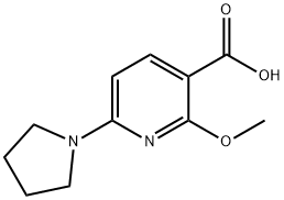 2-Methoxy-6-(pyrrolidin-1-yl)nicotinic acid Structure