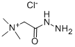 123-46-6 Girard's Reagent T