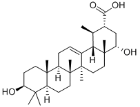 triptotriterpenic acid C Structure